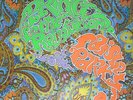 ID5937z - Prince And The Revolution - Paisley Park - W9052T