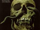 Message: From Books and Dreams =LP vinyl *BRAND NEW*=