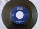 Rare Garage-The Rock Garden on Revise 300-Super Stuff ARKANSAS FUZZ GARAGE 45