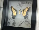 Paramore Limited Edition Brand New Eyes Shadowbox (#220/250)