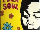 Fela Soul - Fela Kuti vs De La Soul LP Amerigo Gazaway Black Vinyl
