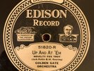 EDISON DIAMOND DISC 51820 Golden Gate Orchestra 
