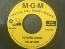 THE VELOURS * I’M GONNA CHANGE *GENE TOONES*What More Do You Want Northern SOUL
