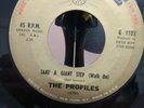 Northern soul classic, The Profiles 