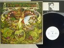 Spyro Gyra ?Morning Dance Infinity VIJ-6305 Japan White Label Promo NM Vinyl