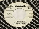 BIRDIE GREEN Tremblin'/ How Come NORTHERN SOUL 45 Rare End Promo #E-1117 VG++