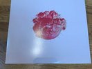 black moth super rainbow Lost Picking Flowers In The Woods Lp