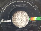 MODERN SOUL NORTHERN SOUL JACKIE WILSON BECAUSE OF YOU