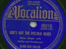 BLUES - BLIND BOY FULLER 