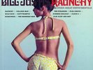 Bill Justis Raunchy and Other Great Instrumentals Vinyl LP Album
