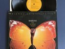FRIENDS OF DISTINCTION Reviviscence Live Light Again LP Vinyl VG+/VG+