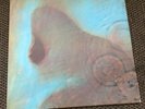 pink floyd meddle vinyl LP/1971 textured sleeve