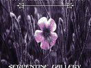 Switchblade Symphony - Serpentine Gallery Lavender Vinyl LP Gothic Death Rock