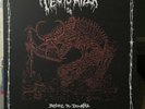 Terrorizer - Before The Downfall (Orange Vinyl, Etched + CD)