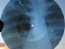 STEPPENWOLF - SOOKIE SOOKIE - USSR GEORGIAN X-RAY ROENTGEN BONES RECORD