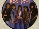 Bon Jovi ?– Slippery When Wet LP Picture Disc, Limited Edition-1986