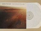 Saves The Day - Stay What You Are - Early Pressing Vinyl