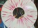 LIMITED TOUR EDITION New Found Glory SIGNED BY BAND LP Vinyl Forever + Ever X