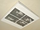 The Beatles and Esher Demos (The White Album) [4 LP] 50th Anniversary