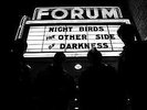 New Music Night Birds 