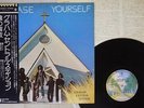 GRAHAM CENTRAL STATION RELEASE YOURSELF WARNER P-8506W Japan OBI VINYL LP