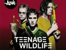 ASH - Teenage Wildlife: 25 Years Of Ash - Vinyl (2xLP)