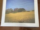 Sun Kil Moon Benji LP SEALED Blue Vinyl Red House Painters Mark Kozelek
