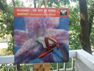 STRAVINSKY THE RITE OF SPRING DECCA SXL 2042 ERNEST ANSERMET SUISSE ROMANDE NEW
