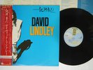 David Lindley ‎El Rayo-X Asylum P-11016Y Japan OBI Audiophile Vinyl NM
