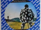 PINK FLOYD DELICATE SOUND OF THUNDER VERY RARE BRAZIL 1ST PRESS PICTURE DISC LP