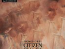 Agnes Obel ?– Citizen Of Glass [12'' VINYL LP] NEW & SEALED