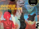 Bread Love And Dreams- Amaryllis LP 2020 NEW Acid Folk/Psych Rock 1971 Pentangle