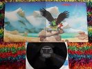 BUDGIE - Never Turn Your Back On A Friend - 1st 1973 MCA Pressing Vinyl LP EX/NM