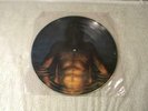 TOOL 1996 Cesaro Summability Promo Picture Disc Aenema Third Eye Vinyl LP RARE
