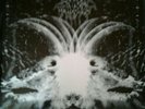 Darkthrone Goatlord 1st Press Lp Lim 1000 NM Mayhem Bathory Mgla Dissection Mgla