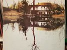 LOY & ALTOMARE - LAGO DI VICO M. 507) / Vinile Lp CGD 20126 Folk Prog Rock 1979