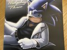Sonic The Hedgehog 3 Video Game Soundtrack Vinyl LP Record Moonshake Blue Sega
