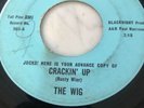1967 Rusty Weir Texas Garage Rock 45 THE WIG orig Psych DJ