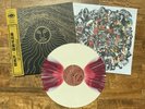 Kikagaku Moyo - Mammatus Clouds // Vinyl LP limited edition on COLORED LP