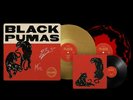 Black Pumas Deluxe Edition 2LP + 45 Signed Autographed Colored Vinyl Sold Out