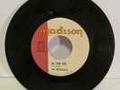 UNTOUCHABLES - Raisin' Sugar Cane 45 on Madison  Soul / Beach 45 EX.