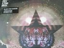 Noel Gallagher's high flying birds Black Star Dancing 12