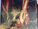 ECHO AND THE BUNNYMEN  