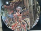 Iron Maiden Picture vinyl  Somewhere in Time Bruce Dickinson Judas Priest Accept