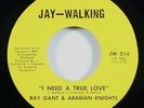 Ray Gant & Arabian Knights 