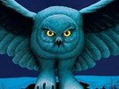 Original 1975 Rush Fly By Night vinyl L.P. in V.G. condition. Clear sheen.