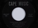 70s Soul Funk 45 ROSETTA JEFFERSON Everything I See In You CAPE MUSIC HEAR