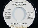 Michael Lizzmore 