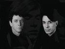 LOU REED & JOHN CALE Songs For Drella RSD Pre Order