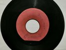 JOHNNY OSBOURNE & THE WILD CATS - ALL I HAVE IS LOVE // DULCIMENA   [ AUG062 ]